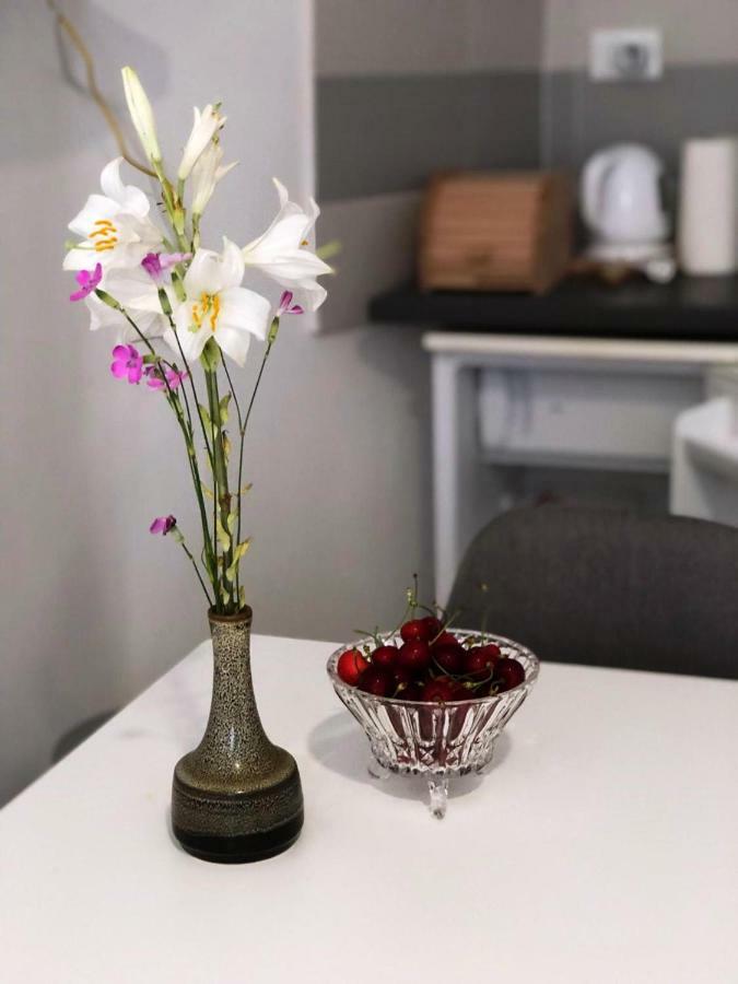 Monte B. Exclusive Apartment روفينج المظهر الخارجي الصورة